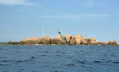 ¿Qué titulación necesitas para alquilar un barco en Palamós?