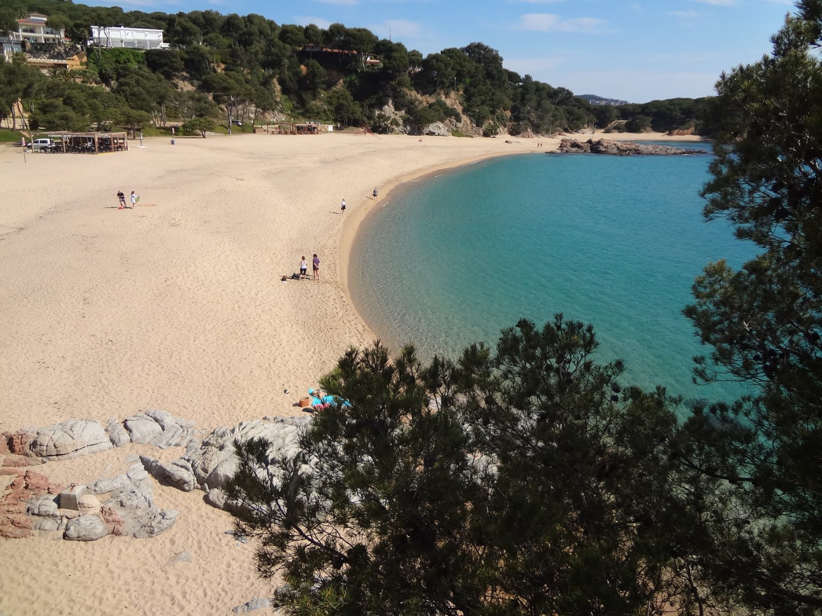 Playa de Sa Conca en S'Agaró, arena dorada en curva con agua turquesa y pinar